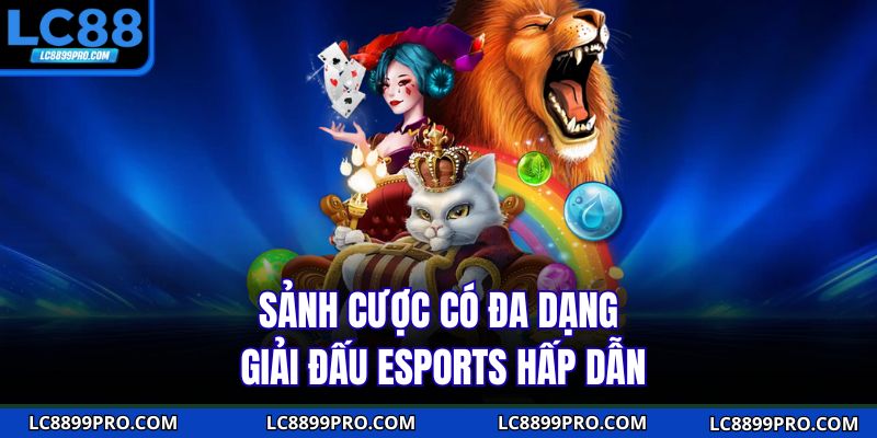 Sảnh cược có đa dạng giải đấu esports hấp dẫn